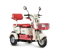 Gelbert Mercury 48V/60V 650Вт