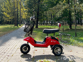 Электротрицикл TRION Partner NOVA PRO [без АКБ] - Фото 1